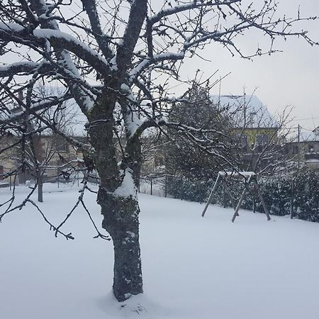 Maison De Vacances Freconrupt La Broque المظهر الخارجي الصورة
